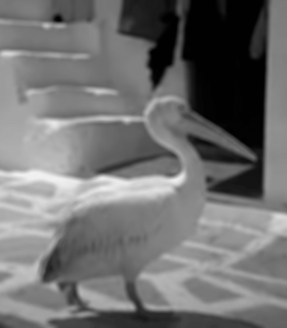 The Incredible Story Behind Peter the Pelican – Mykonos Mascot