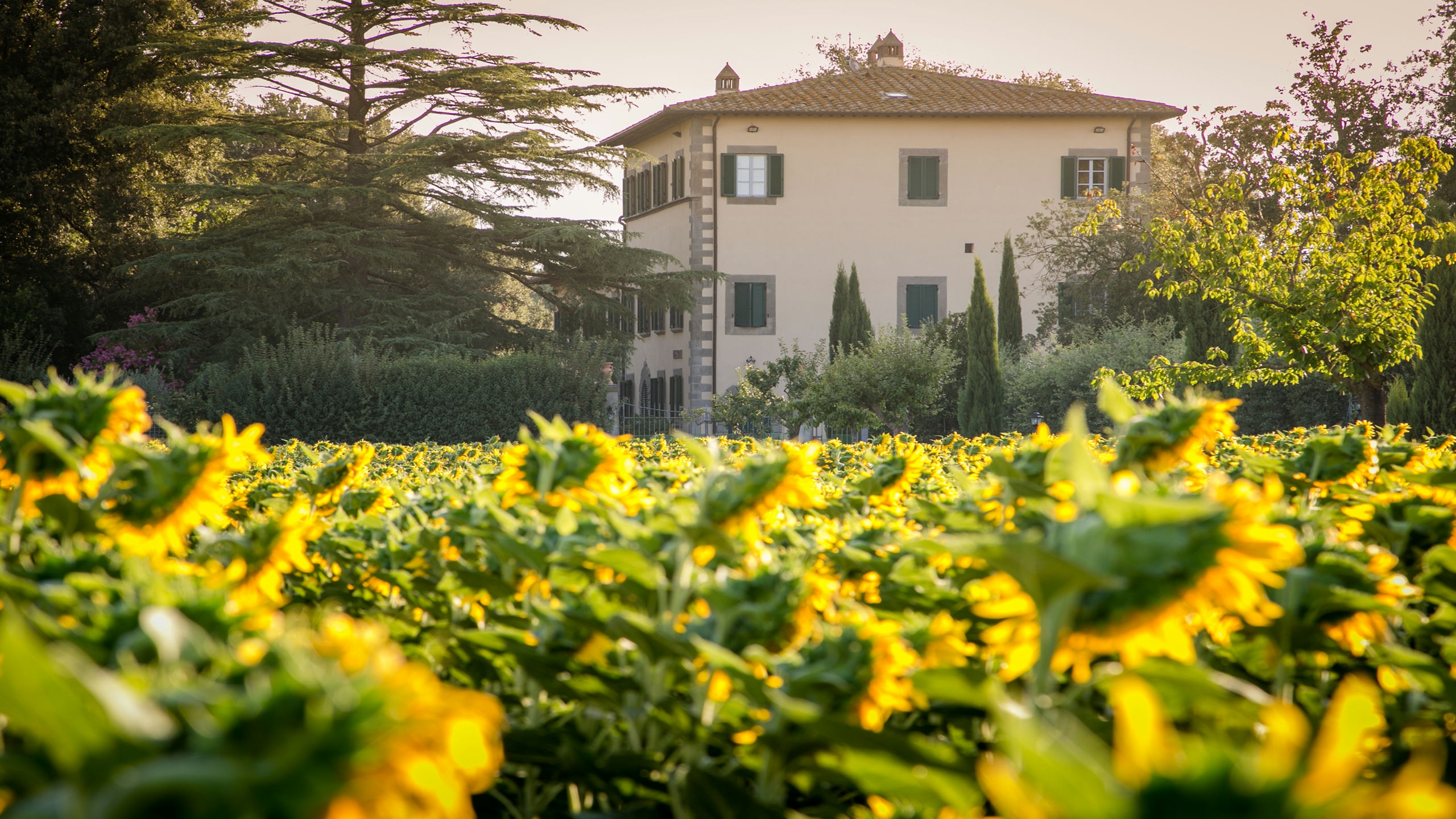 Villa Ivana Cortona Tuscany