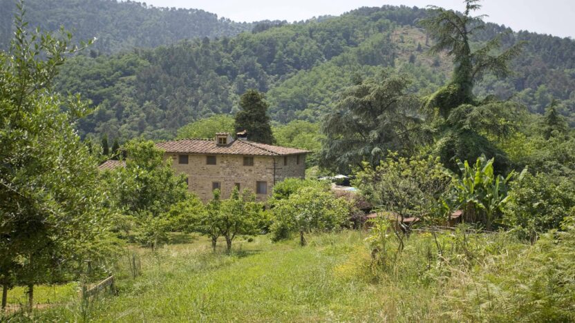 Villas for Rent in San Martino in Freddana Lucca Tuscany-Villa La Cecchella