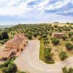 Villas for Rent in Palaia Pisa Tuscany-Villa Larino