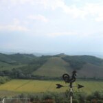 Villas for Rent in Certaldo Tuscany-Villa Luce