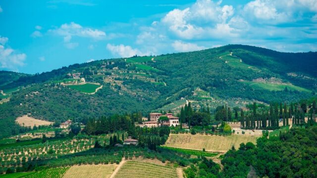 A Guide to Tuscany's Wine Regions